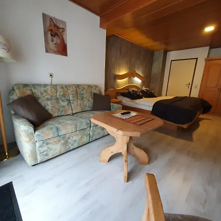 Casa de hóspedes Robin Hood 3*