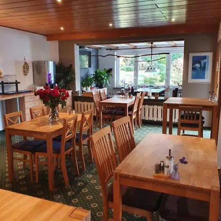 Гостевой дом Robin Hood