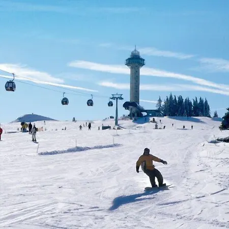 Robin Hood Виллинген