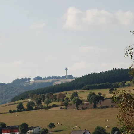Gasthuis Robin Hood Willingen (Upland)