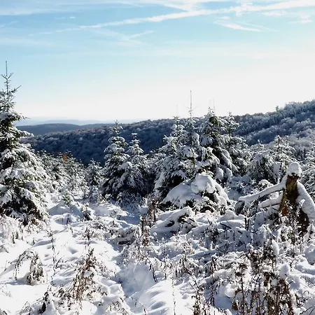 Robin Hood Gæstehus Willingen (Upland)