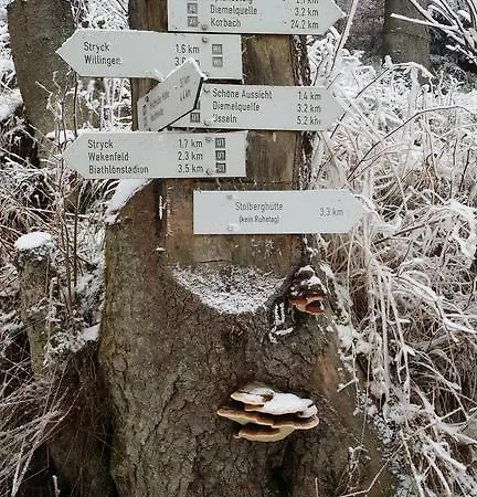 Gasthuis Robin Hood Willingen (Upland)