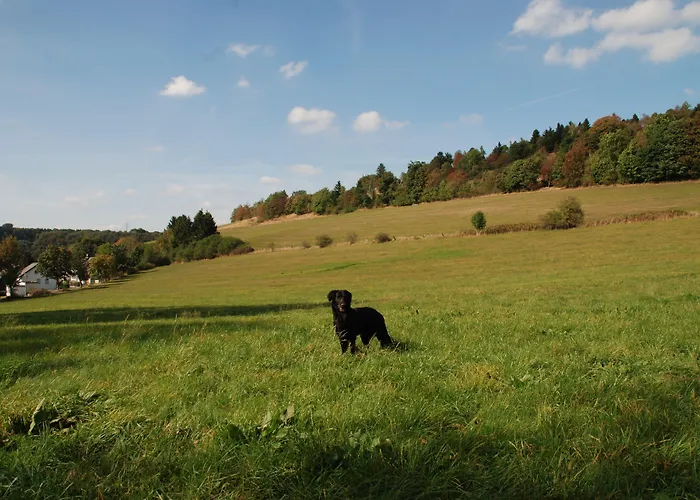 Pensjonat Robin Hood Willingen (Upland)