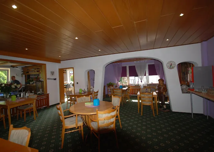 Pensjonat Robin Hood 3*