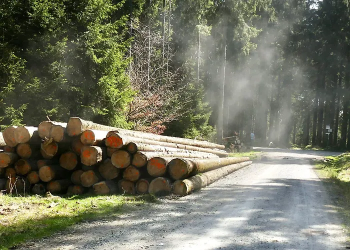 Pensjonat Robin Hood