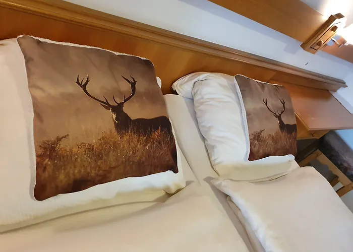 Robin Hood Pensionat Willingen (Upland)