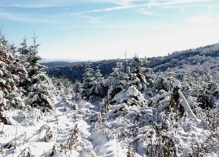 Robin Hood Pensjonat Willingen (Upland)