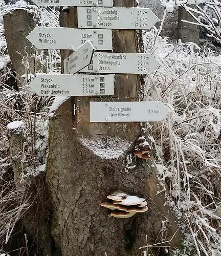 Pensjonat Robin Hood Willingen (Upland)