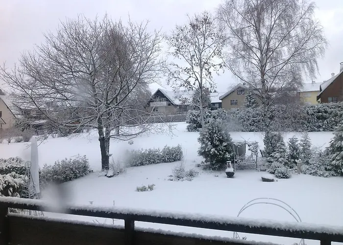 Robin Hood Pensjonat 3*