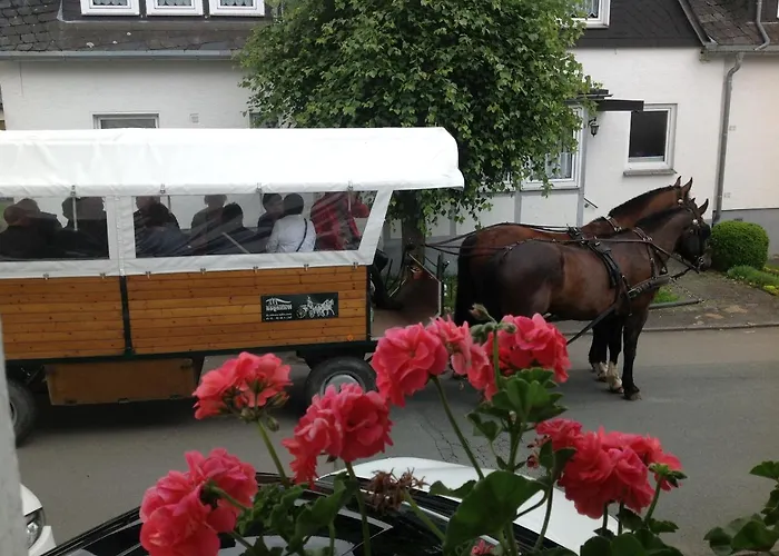 Robin Hood Pensjonat